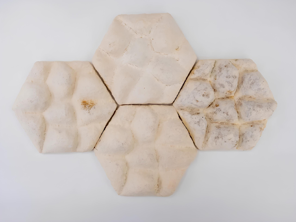 Фото: Наньянский технологический университет