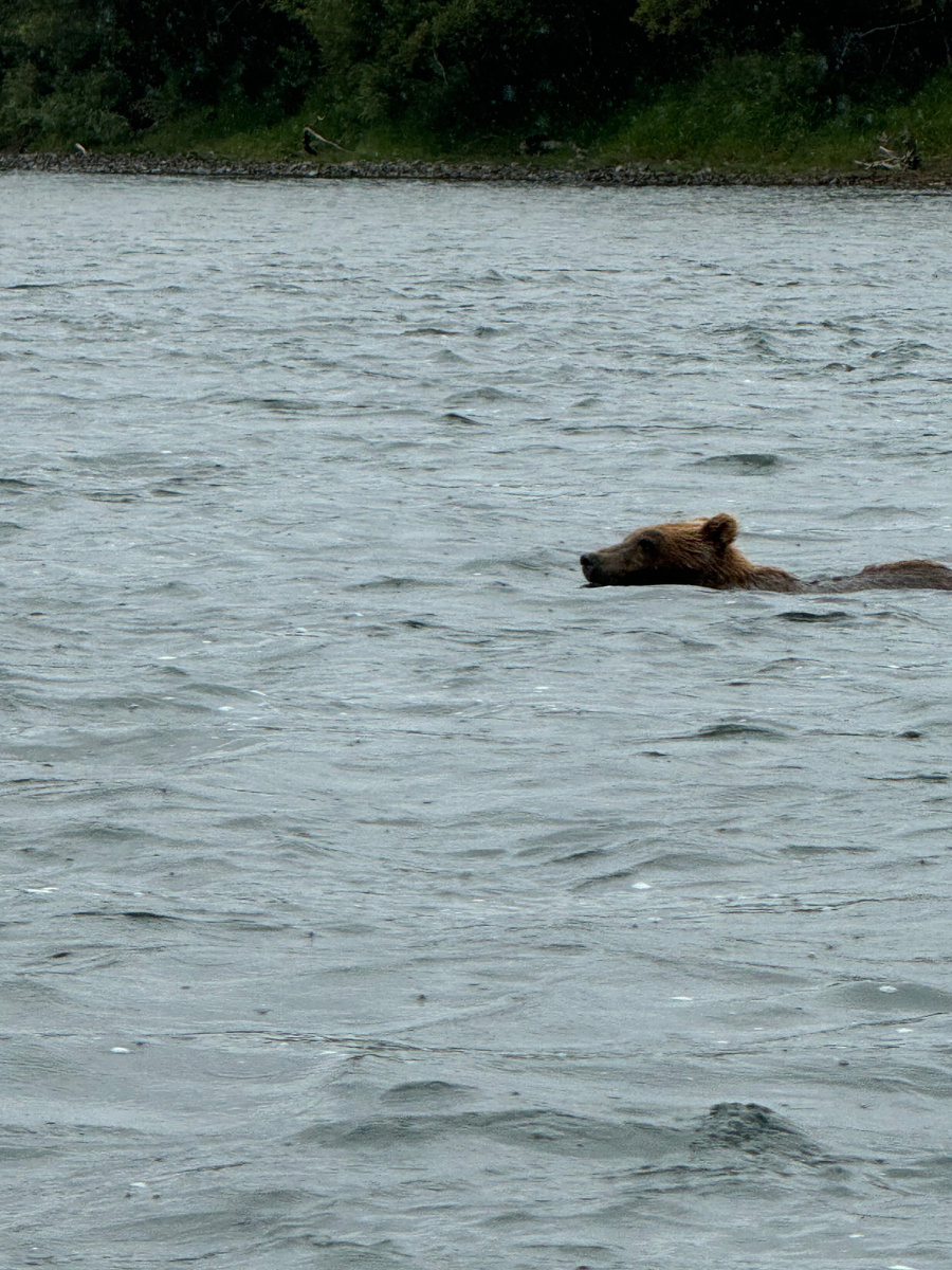 Камчатка, август 2024
