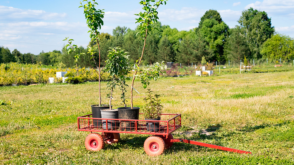  Фото: shutterstock.com