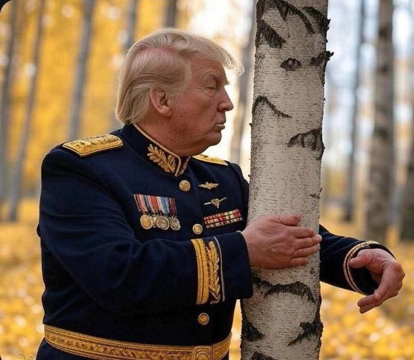 Эх... родные березки... Такая иногда ностальгия охватывает... но впереди ещё много работы!