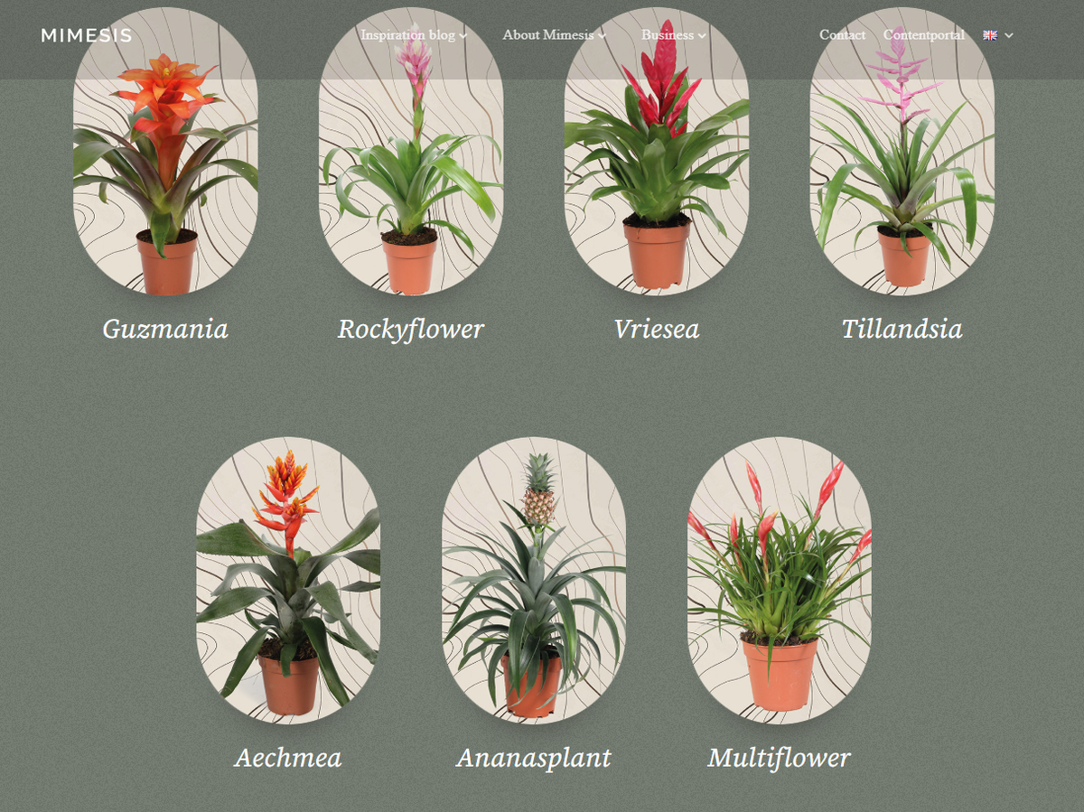 Сайт mimesis-plants