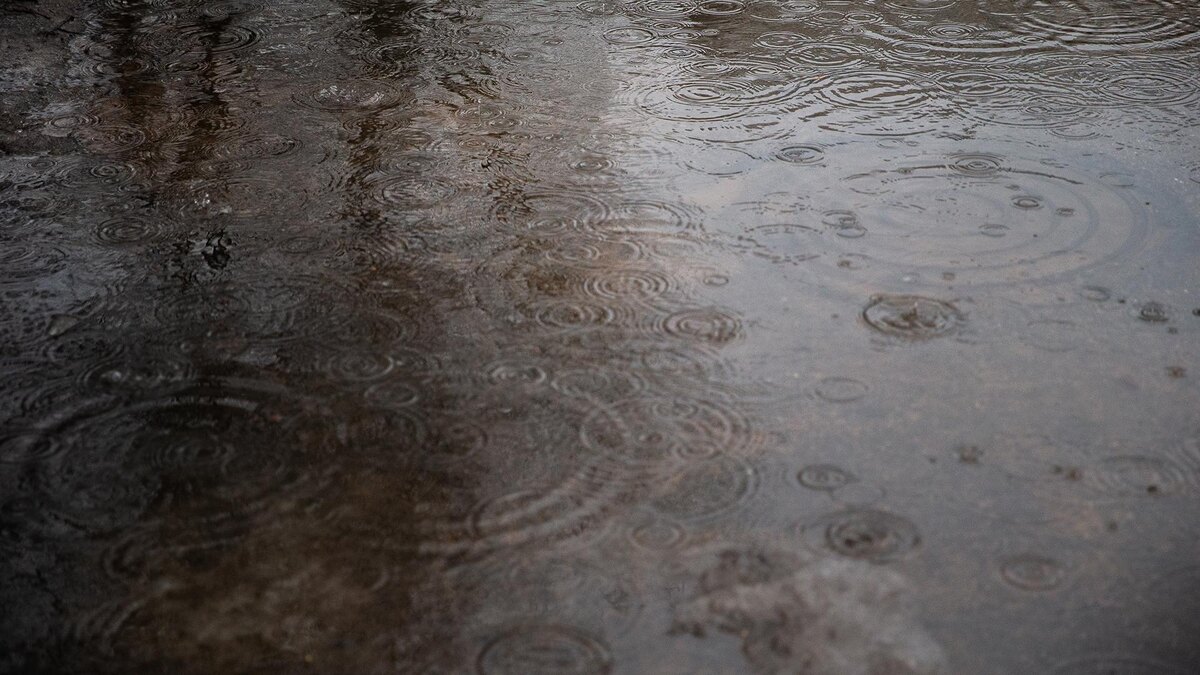    Фото: ИЗВЕСТИЯ/Телеканал «78»