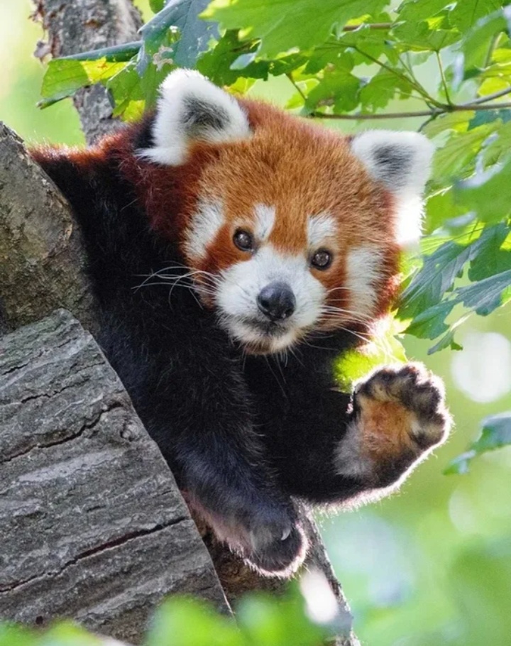 Фото от автора из просторов интернета.