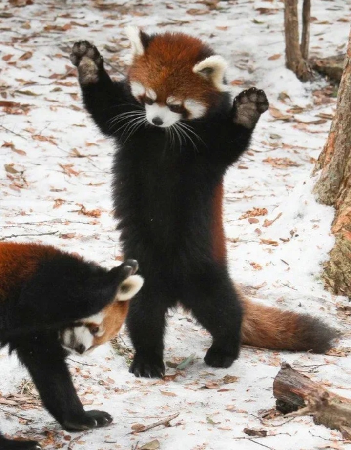 Фото от автора из просторов интернета.