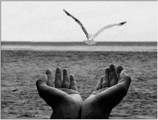 Нужно отпускать тех, кому уже пора уйти... 