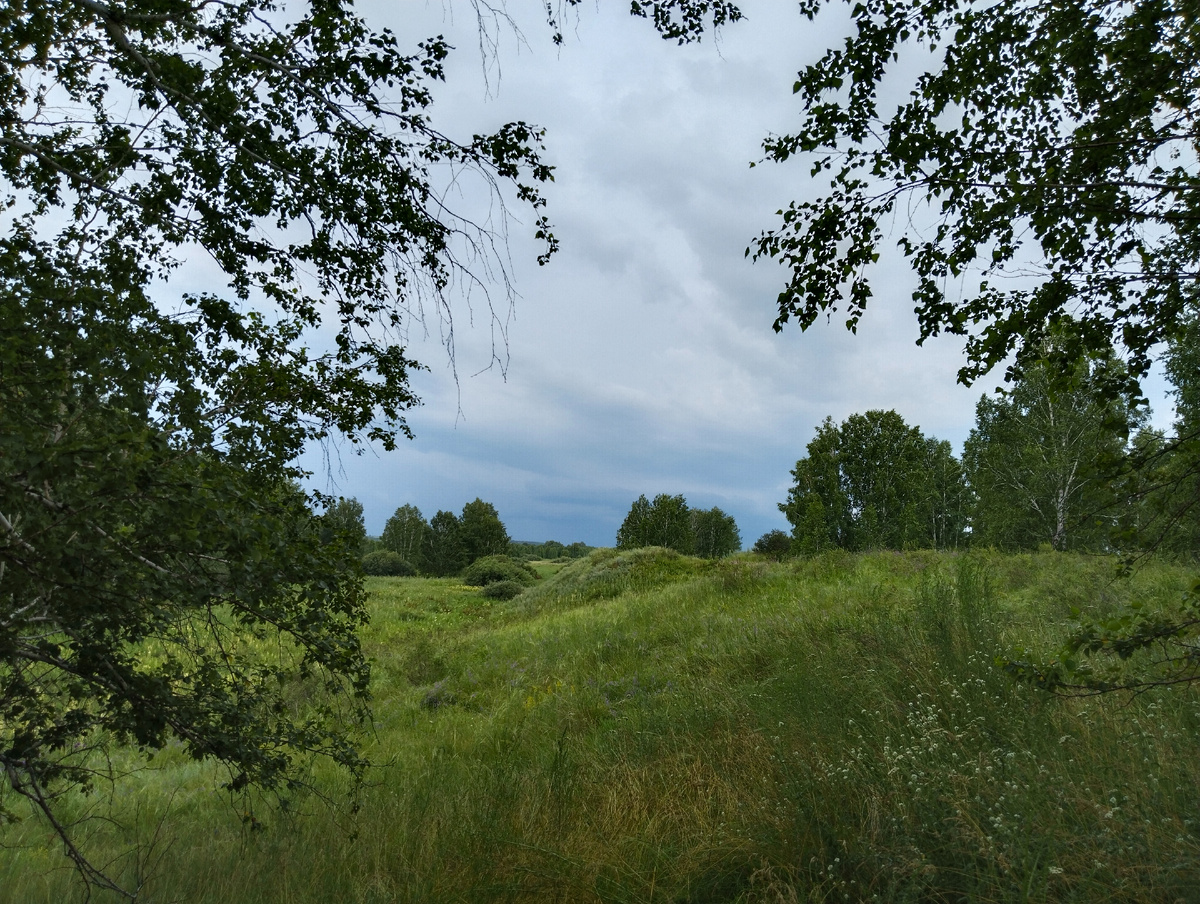 Черноозерье. Фото Татьяны Горбуновой, 2024.