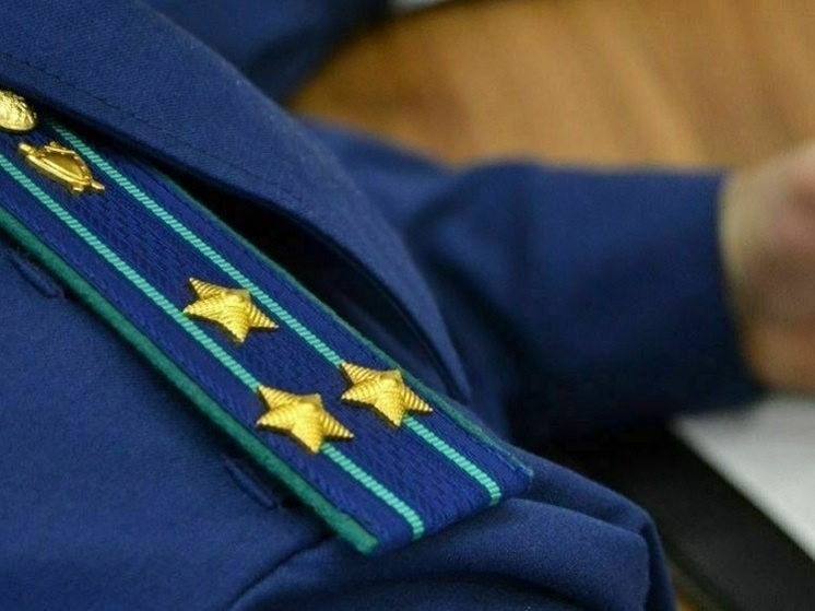     Фото пресс-службы прокуратуры Липецкой области