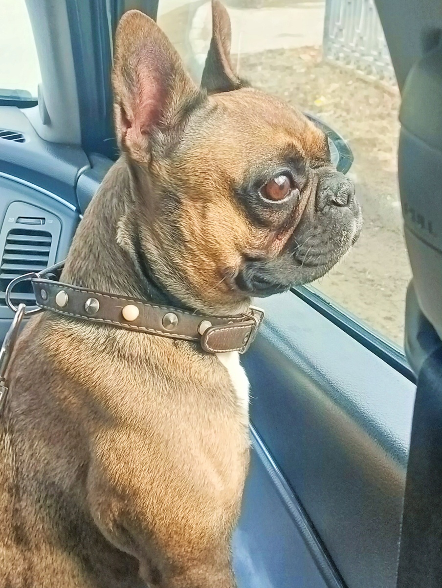 Ура! Едем домой!