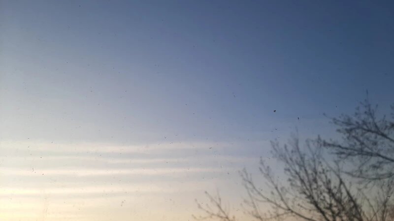     Следы в небе от реактивных самолетов. altapress.ru