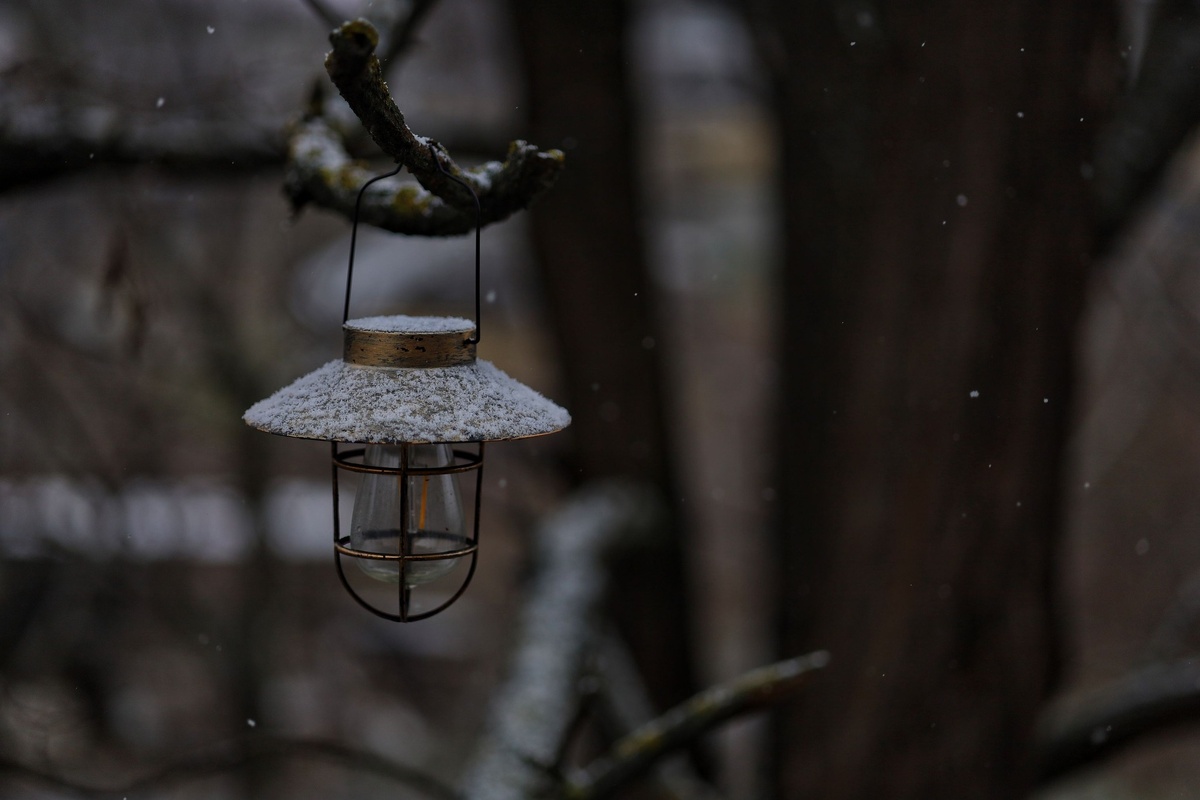 Фонарик на дереве перед балконом