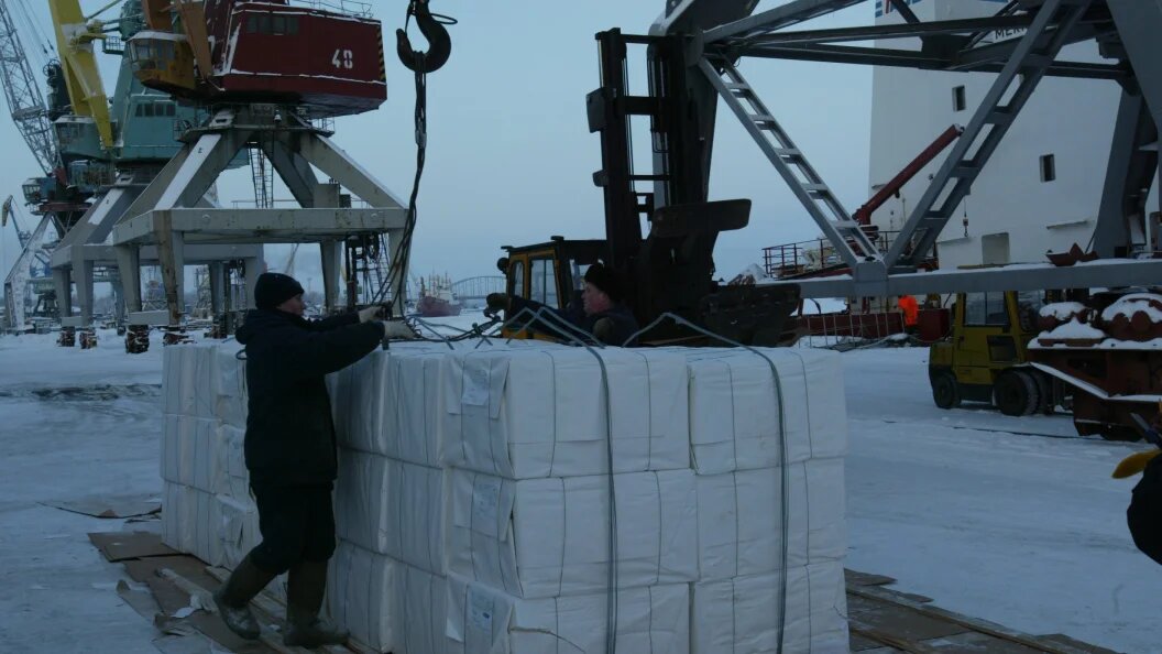    Фото: Gennadii Khameliyanin/Russian Look/Globallookpress