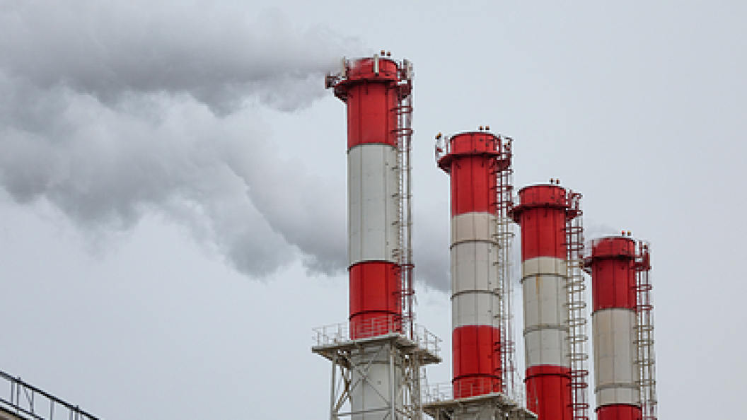    Фото: Belkin Alexey/Globallookpress