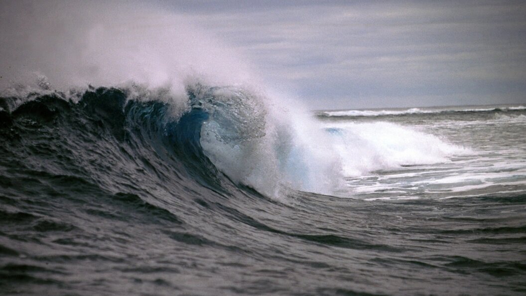    Andrei Kamenev/Russian Look/Globallookpress