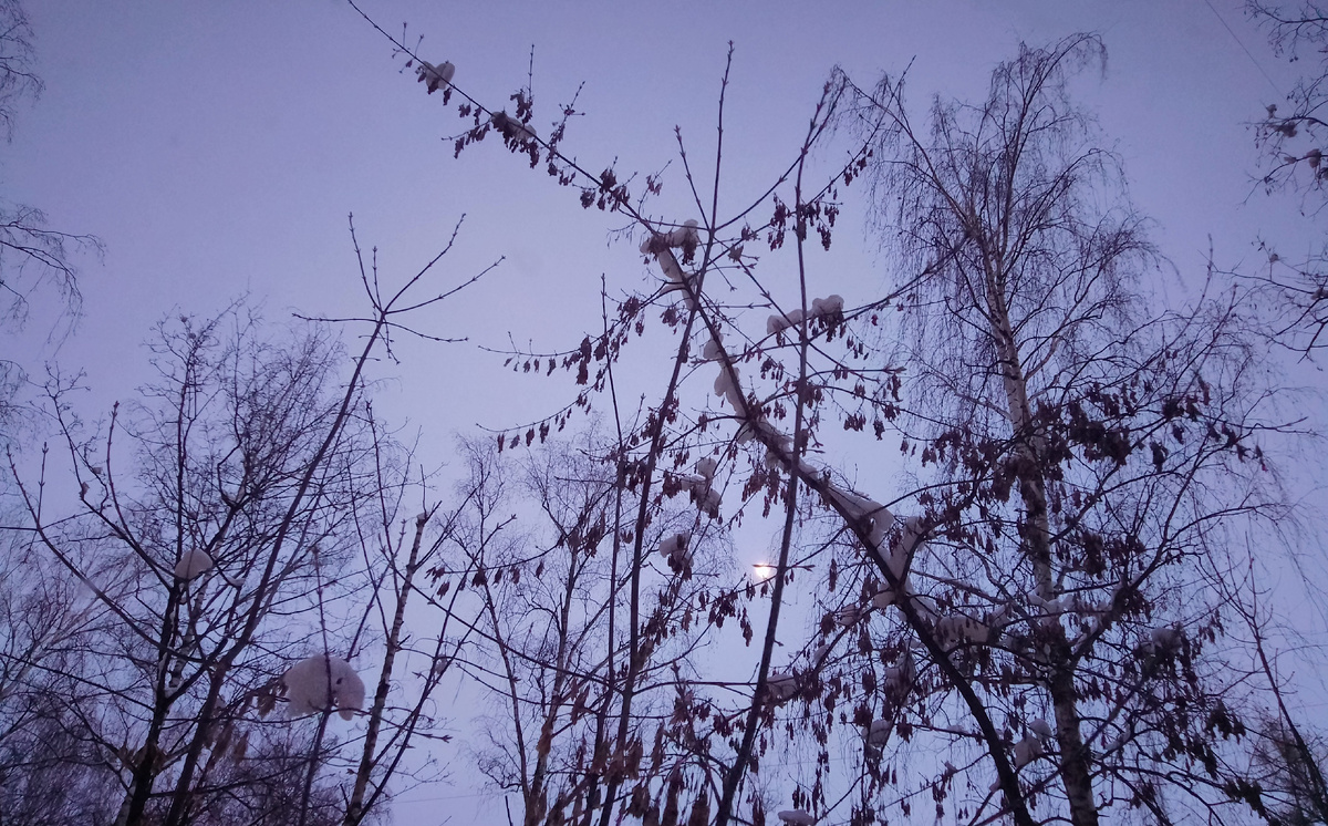 Фото автора. Луна вдали видна