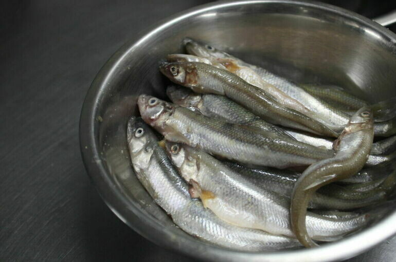   Тимур Ханов/ПГ