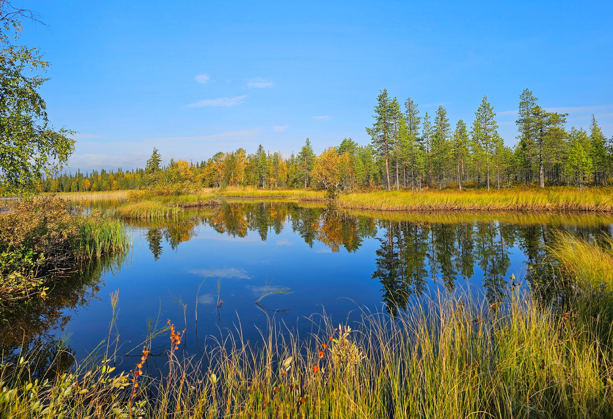 Фото: Наталья Баева