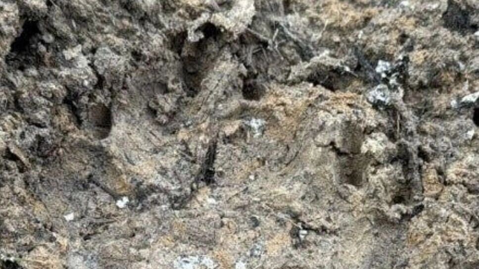     Источник: vk.com Гражданские новости Тюмени