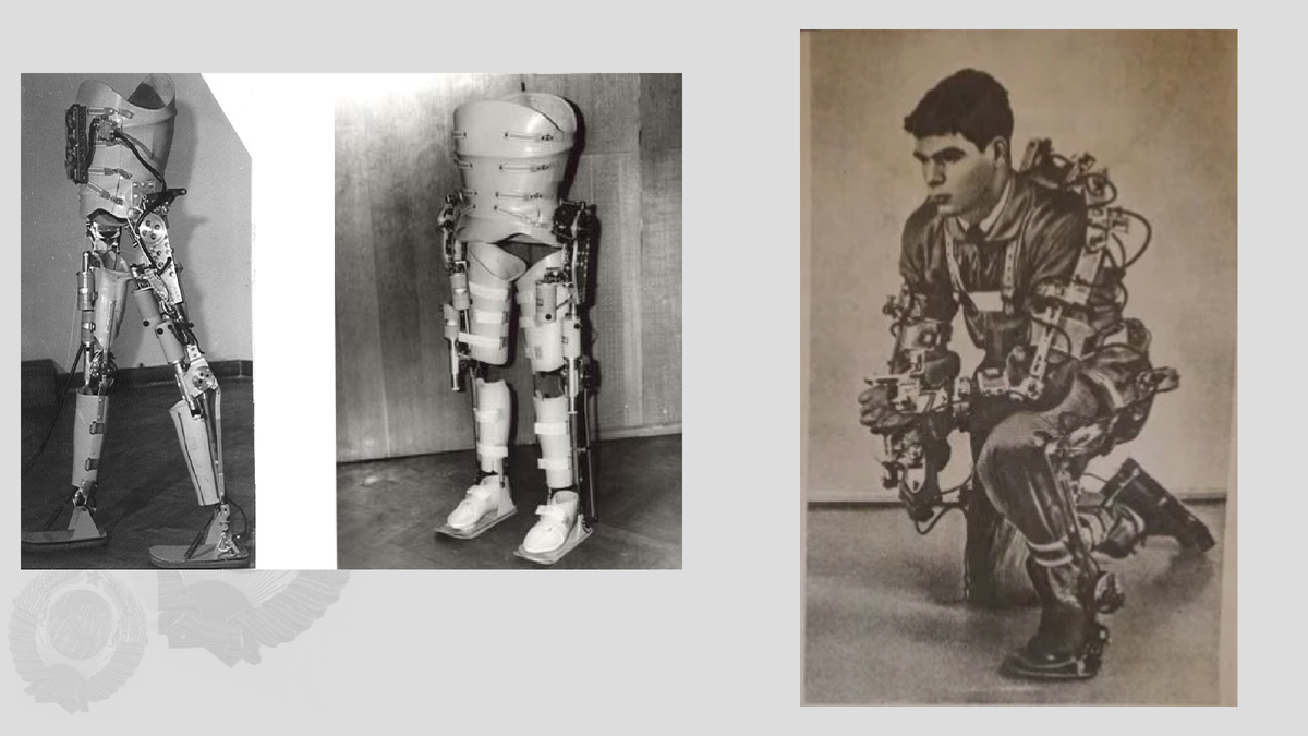 Экзоскилет (фото для примера)