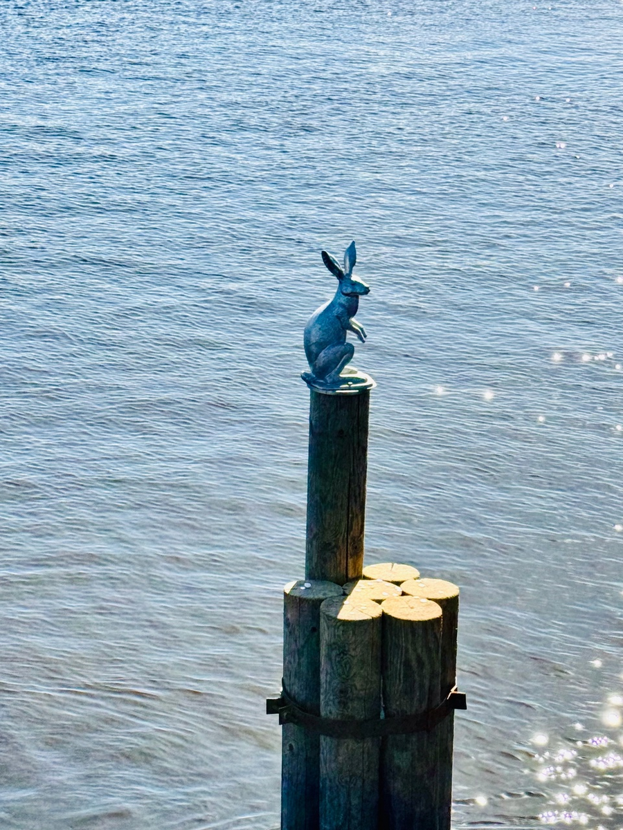 Зайчик Арсений, спасающийся от наводнения