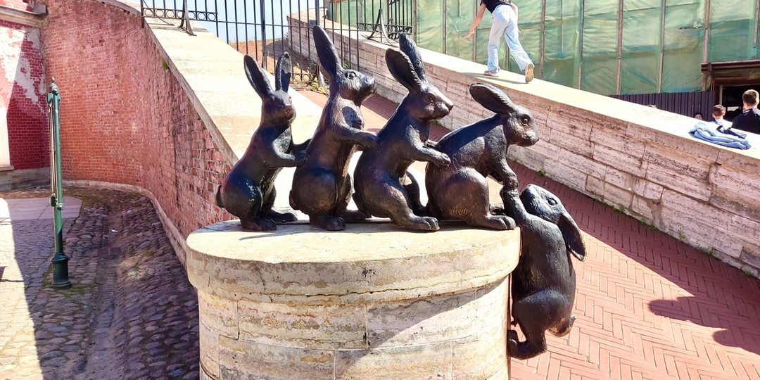 Сколько зайцев в Петропавловской крепости