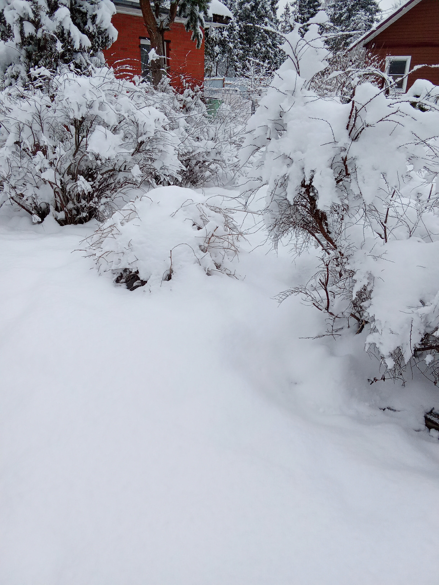 Вот такой снег выпал в начале апреля.