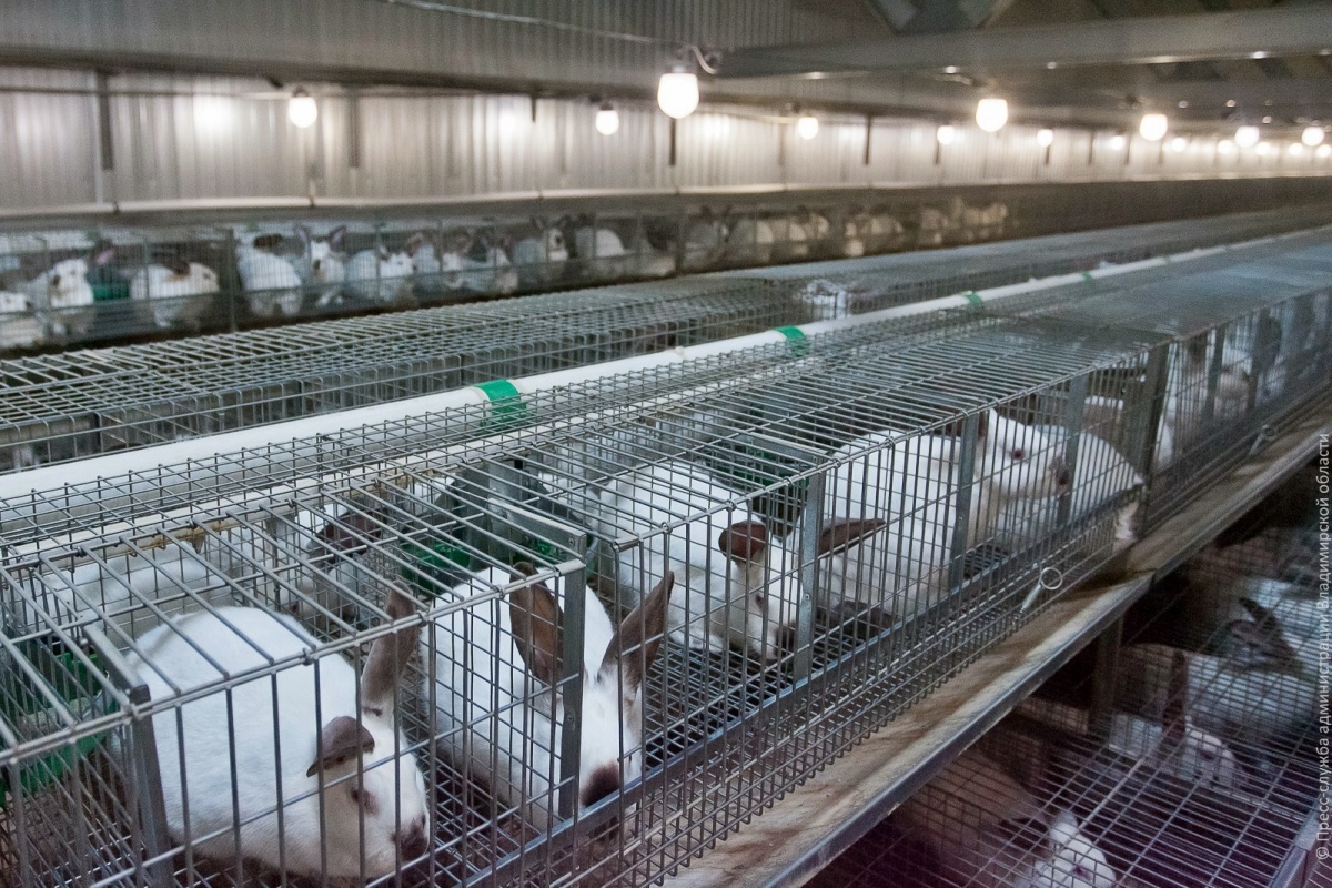 Фото из архива редакции. 