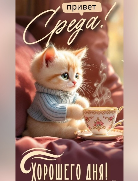 Фото из интернета.