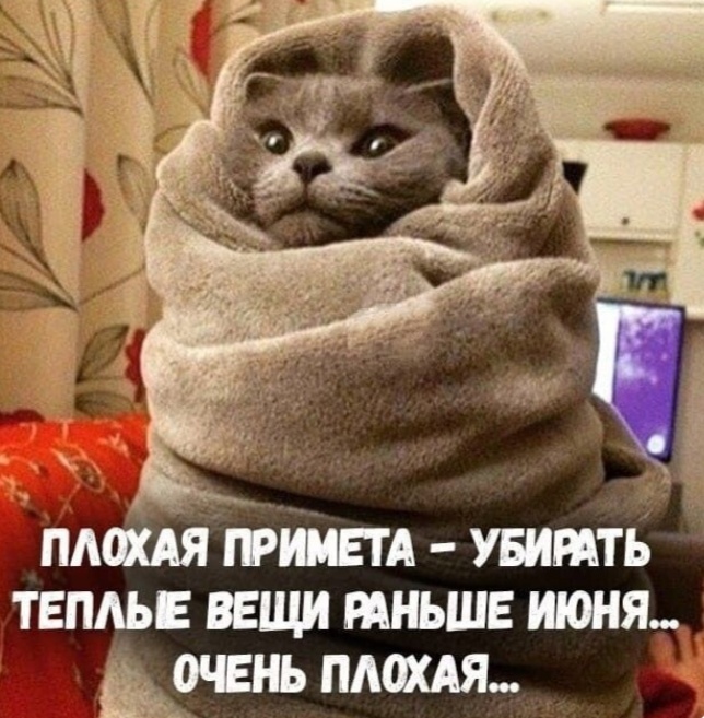 Фото из интернета.