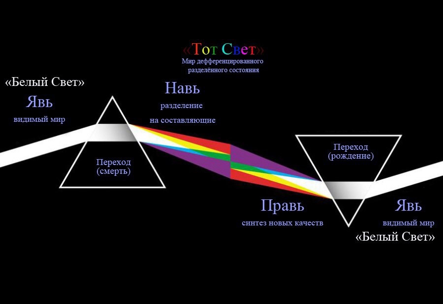 Дисперсия жизненных состояний