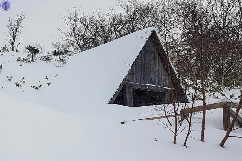 -48