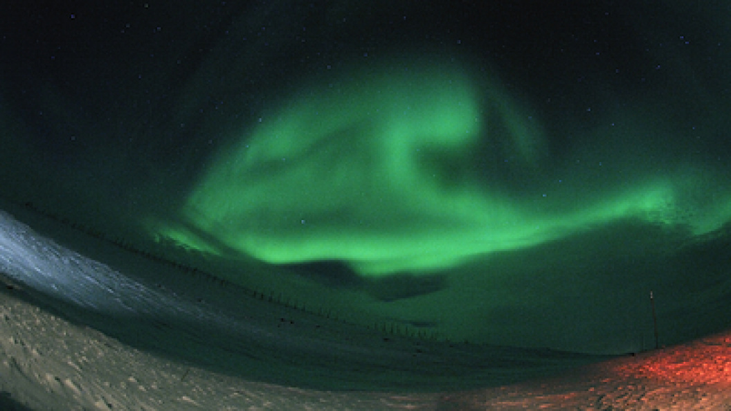    Фото: George Zakharchuk/Russian Look/Globallookpress