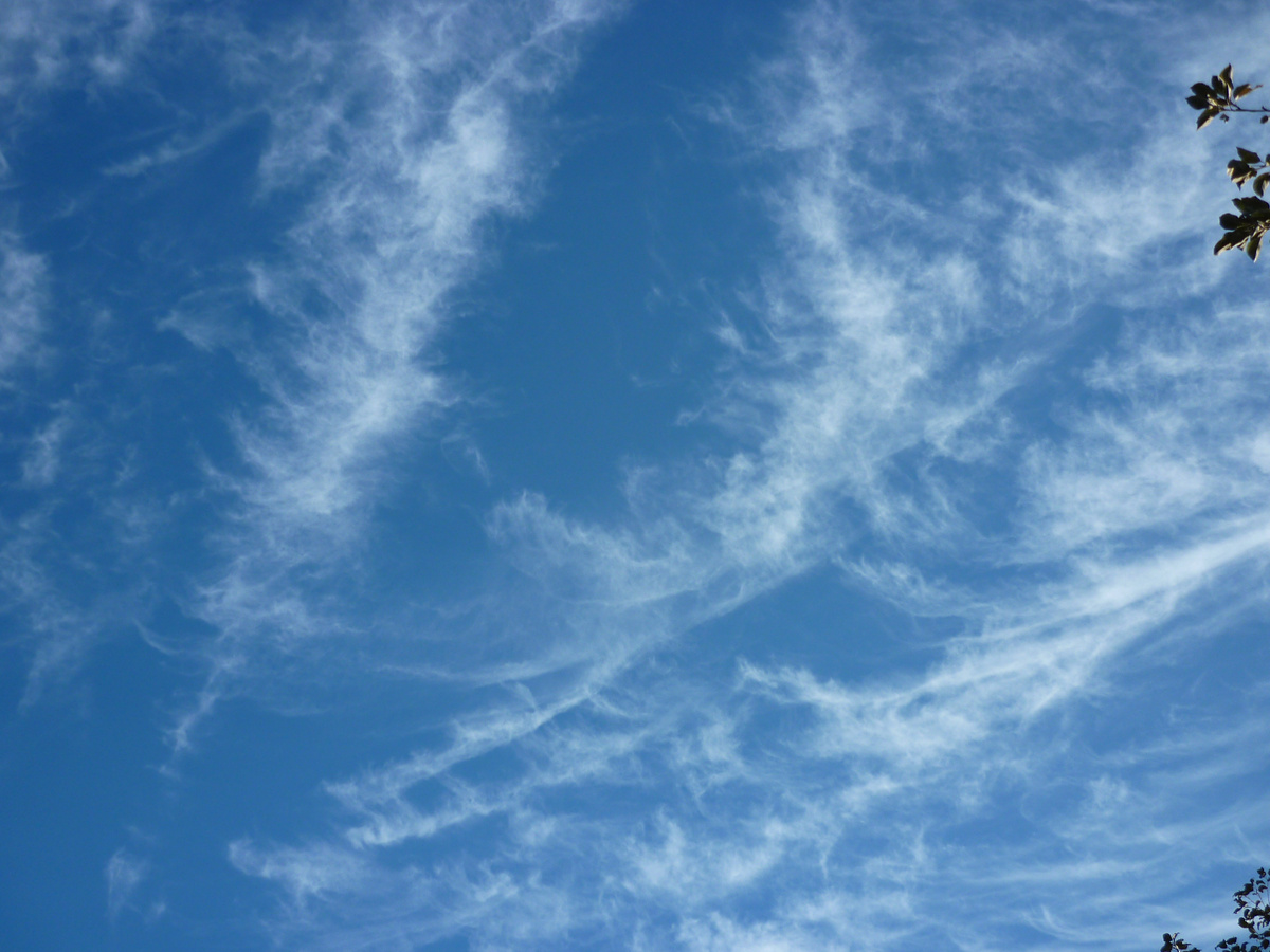 ПЁРЫШКИ АНГЕЛА 