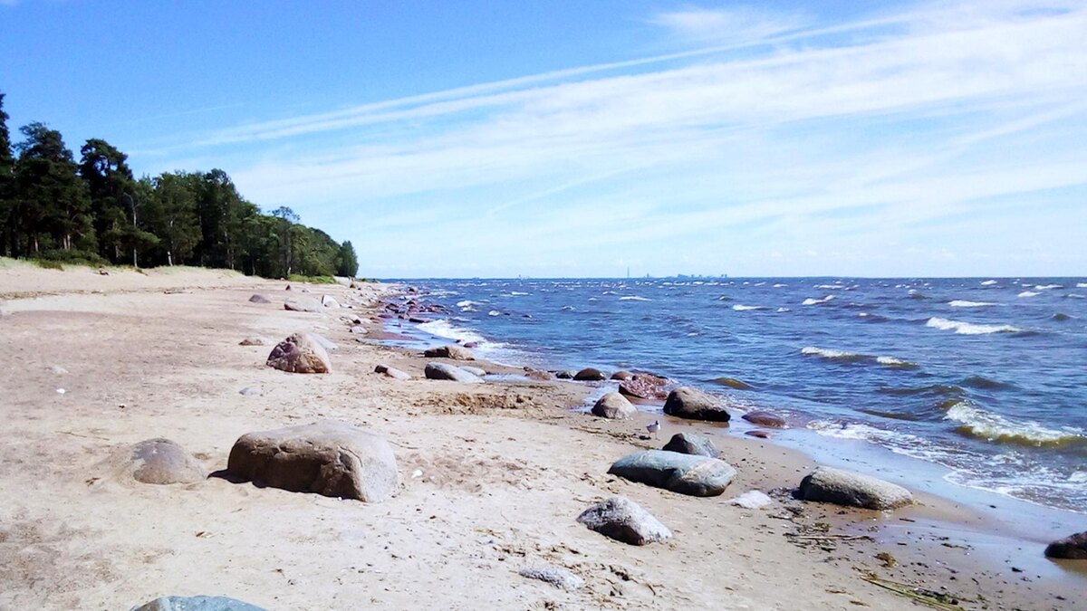    Фото: Wikimedia.org