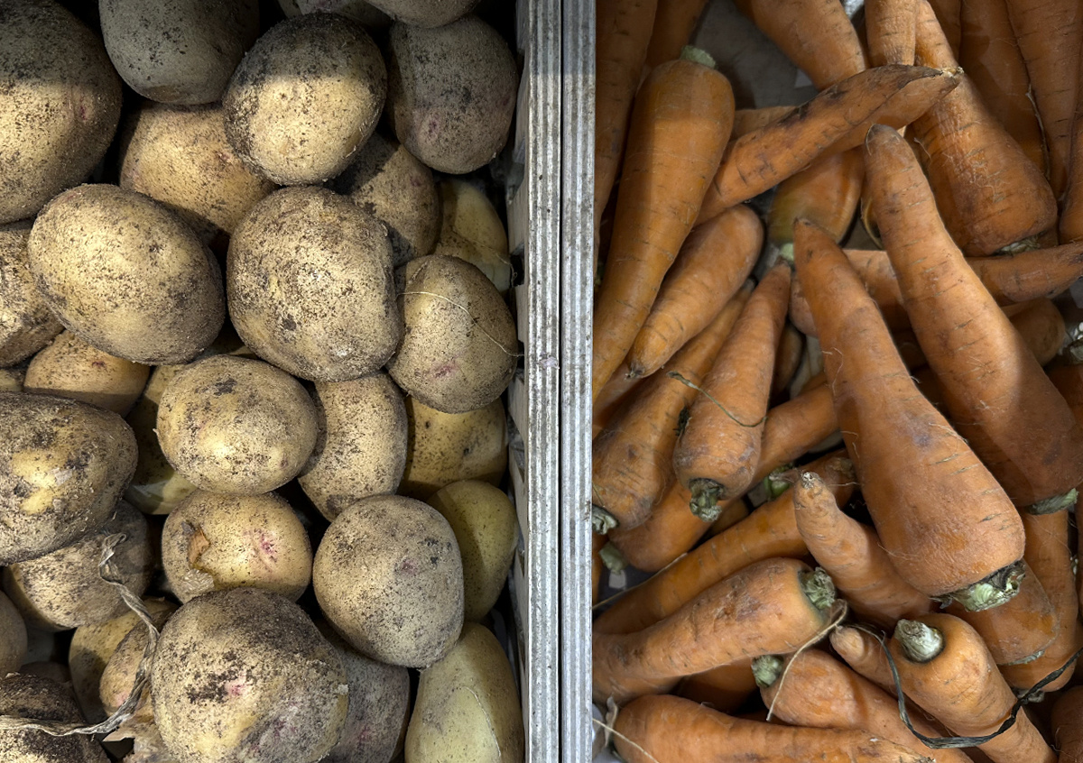 Фото © «Московская газета»