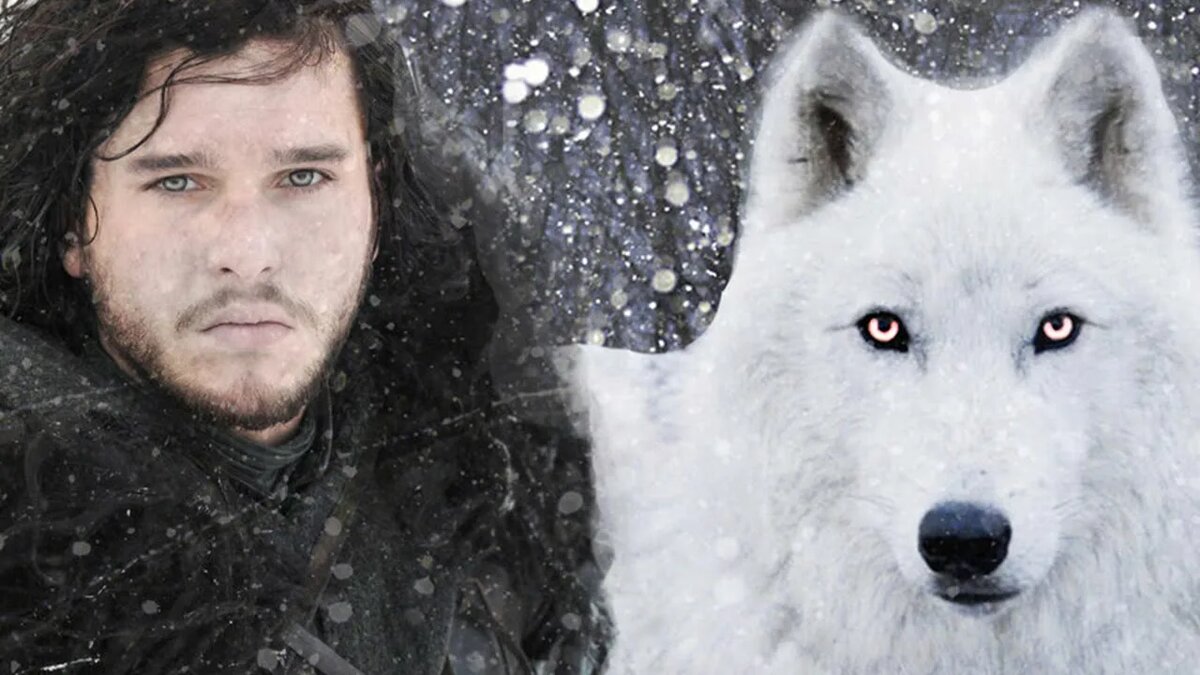 Джон Сноу и Призрак