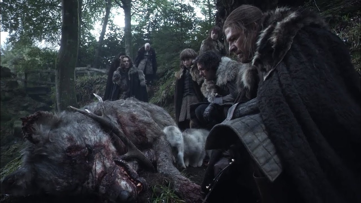 Находка на охоте