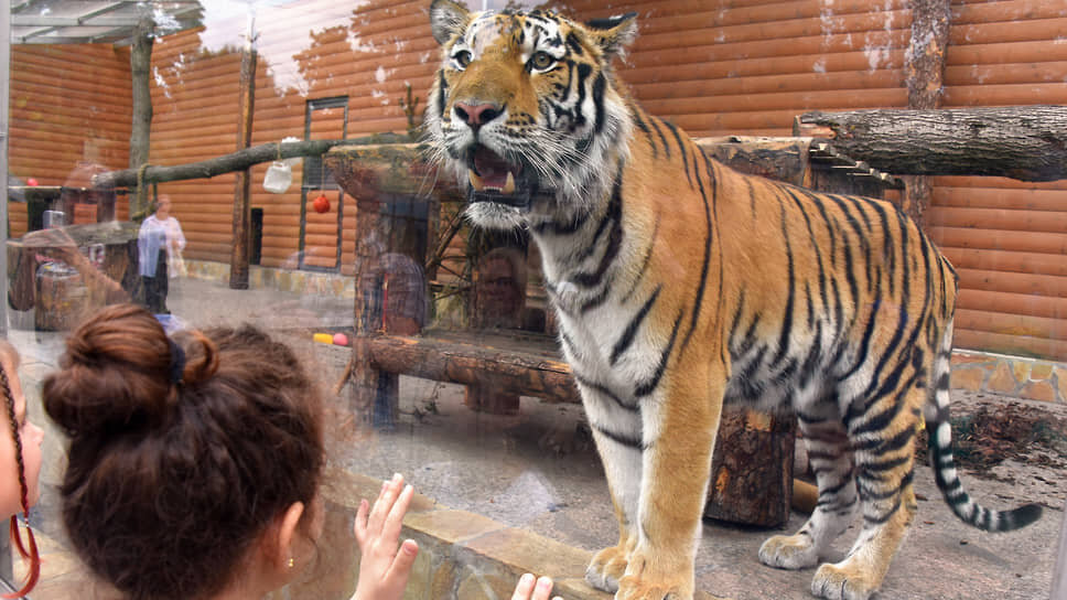 Фото: Надежда Буаллаг / Коммерсантъ