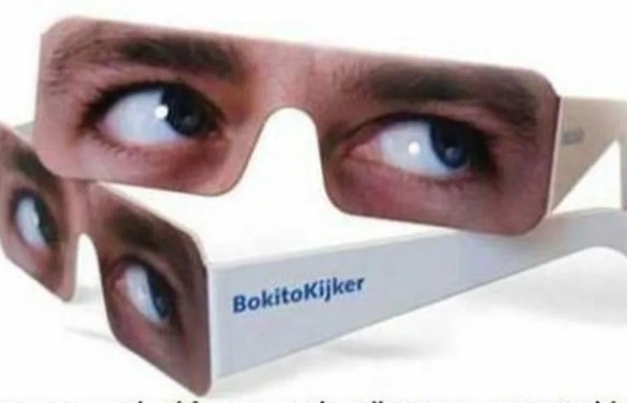 Очки для Роттердамского зоопарка. / Фото: imgur.com