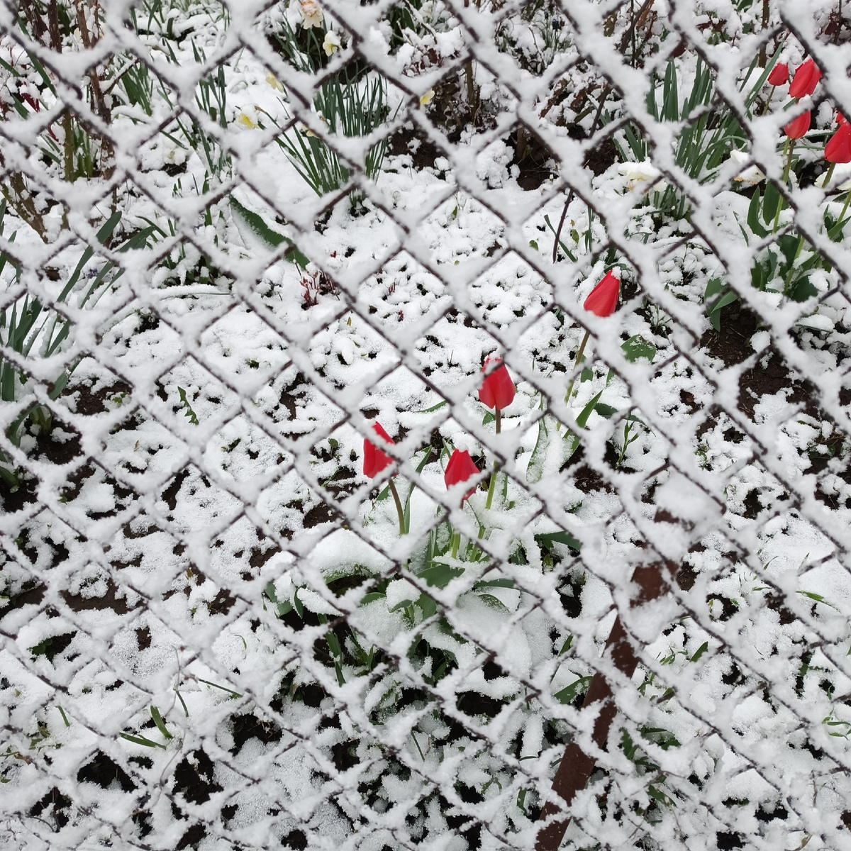 Фото из личного архива