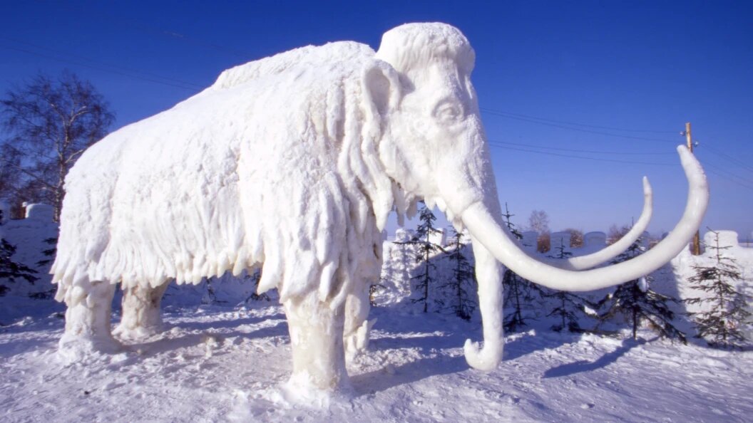    фото: Andrei Kamenev/Russian Look