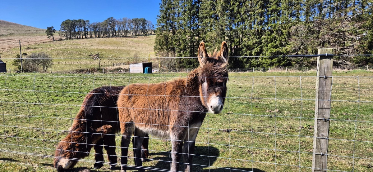 Фото из личного архива. 