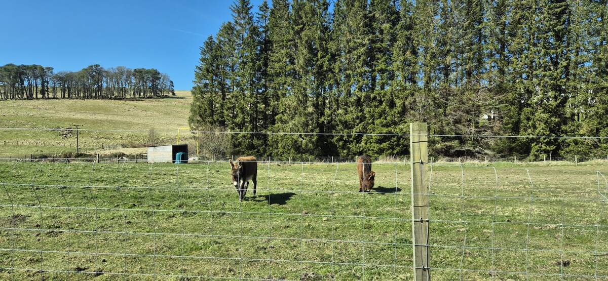 Фото из личного архива. 