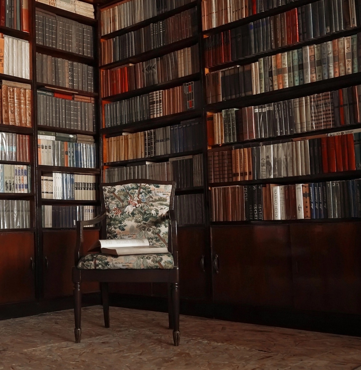 Книги — хранители языка 