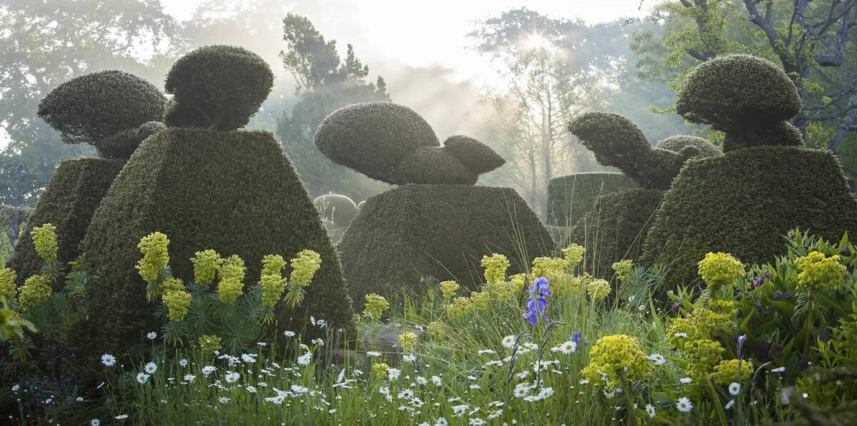 Сад Грейт Дикстер, фото: Фото: Claire Takacs, www.plinthetal.com