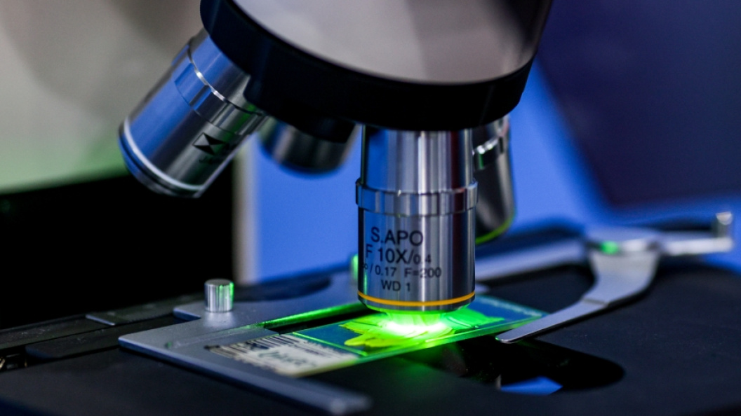    Фото: Lantyukhov Sergey/Globallookpress