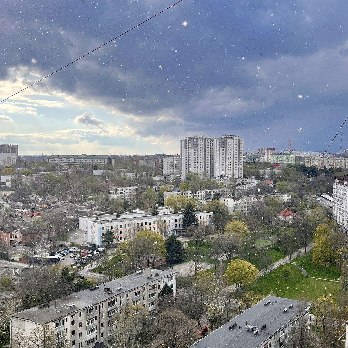 Фото автора. Солнце, тучи, снег, ветер, цветущие и зеленые деревья. Апрель…