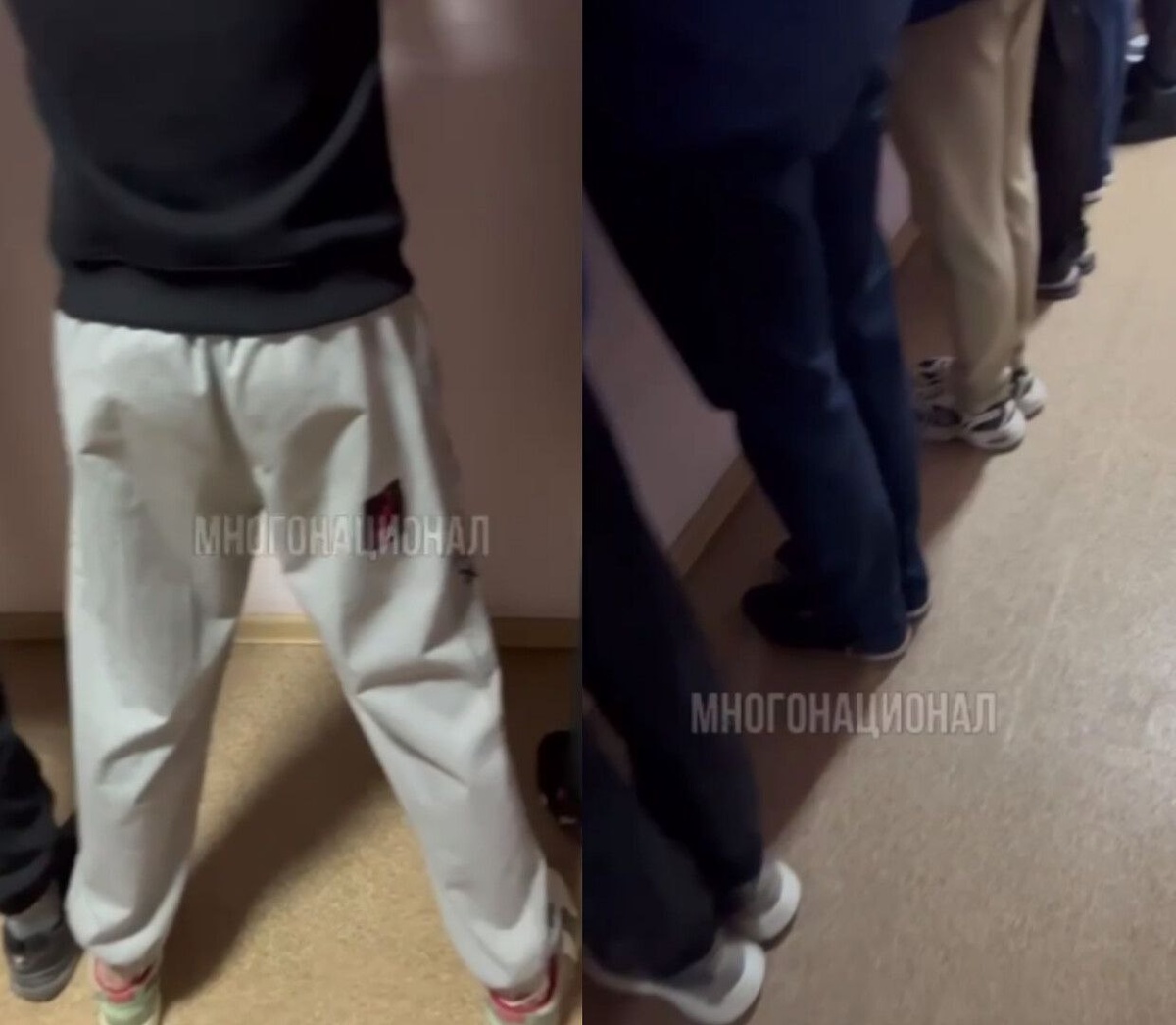 Фото: скрин видео тг-канал "Многонационал".