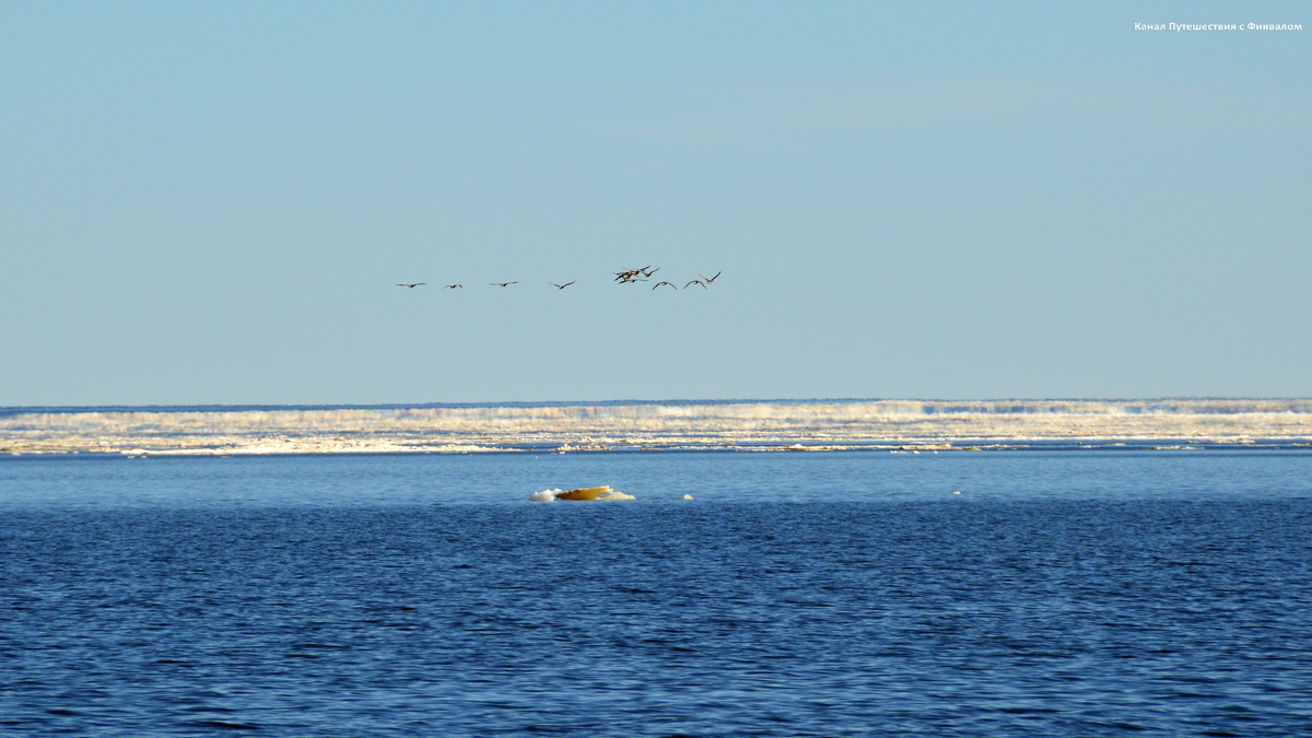 Арктика и без миража в солнечный день? Это фантастика!))
