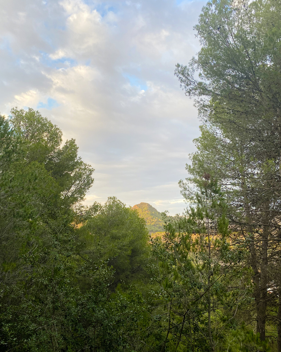 Парк Кан Куиас