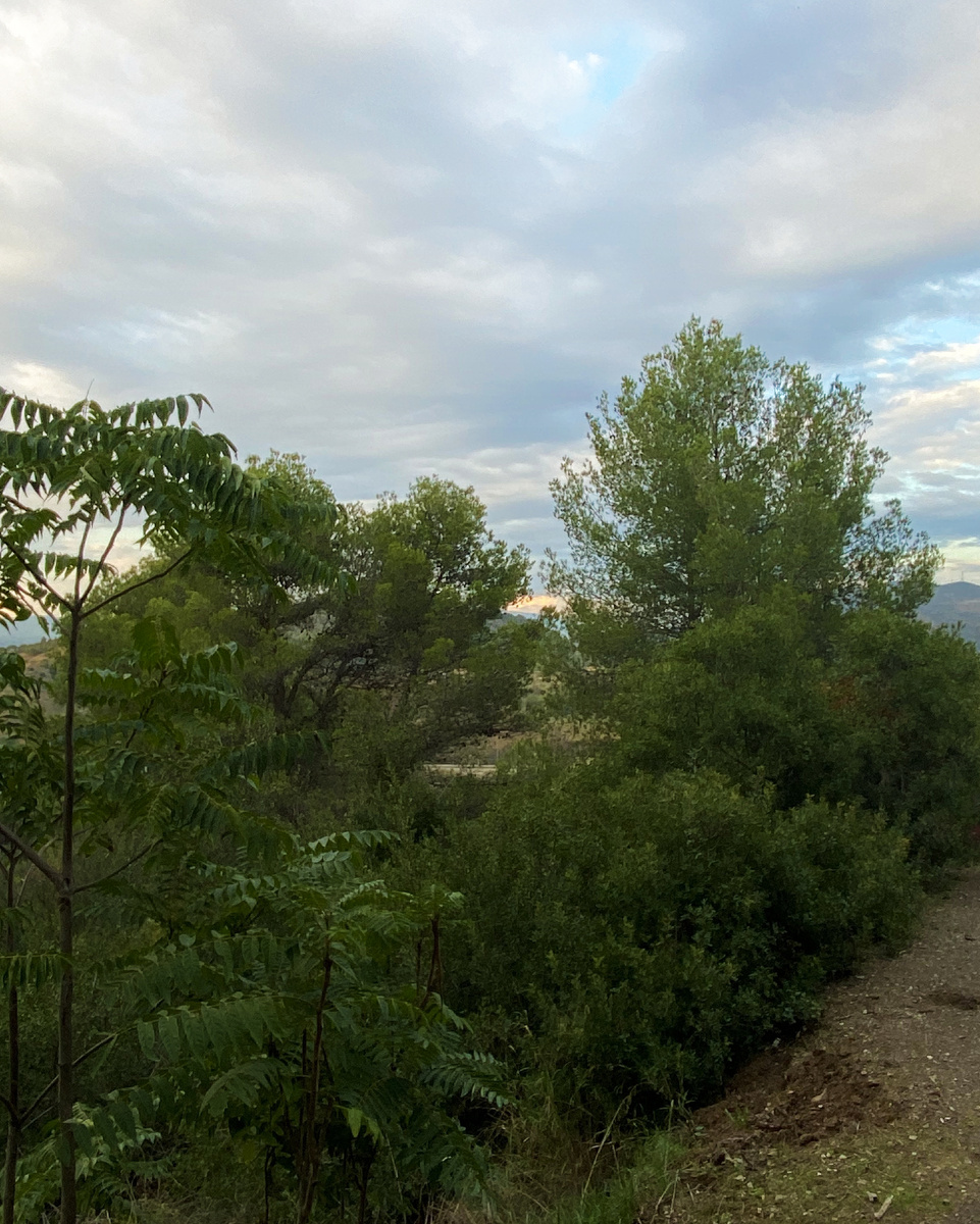 Парк Кан Куиас